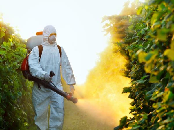 Od zdrave hrane so ostali le še pesticidi